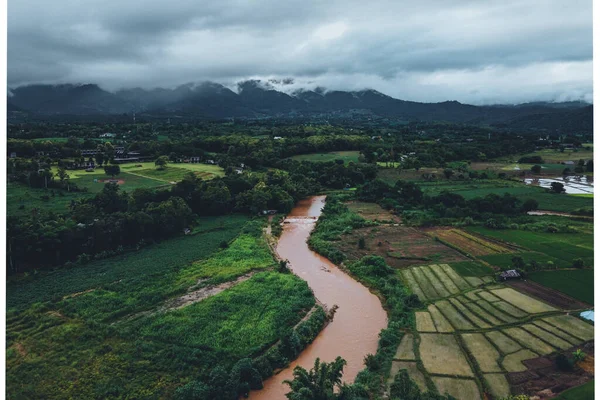 Yağmur Mevsiminde Yeşil Pirinç Tarlaları Kırsal Kesimde — Stok fotoğraf