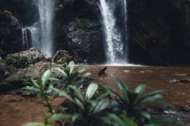 Şelale doğada yolculuk mok fah şelale