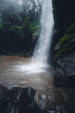 Şelale doğada yolculuk mok fah şelale