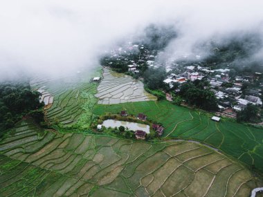 Yeşil pirinç tarlaları pirinç tarlaları, pirinç tarlaları ve dağlar