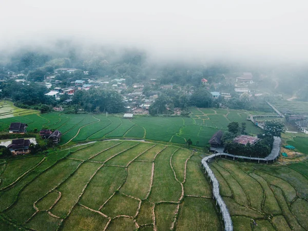 Green rice fields Views of rice fields, rice fields and mountains