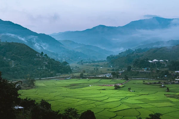 Dağlar Yeşil Pirinç Tarlaları Asya Doğa — Stok fotoğraf