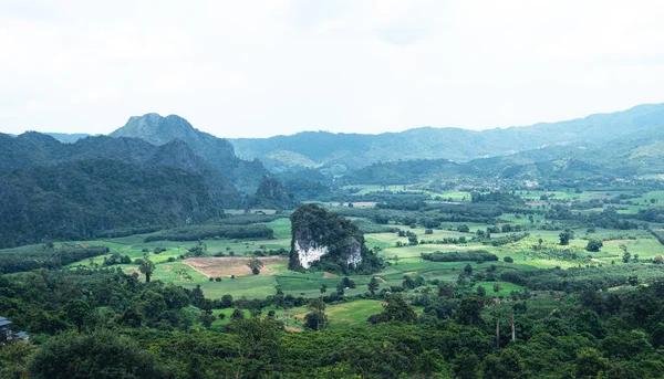 Montagne Alberi Verdi Dopo Pioggia — Foto Stock