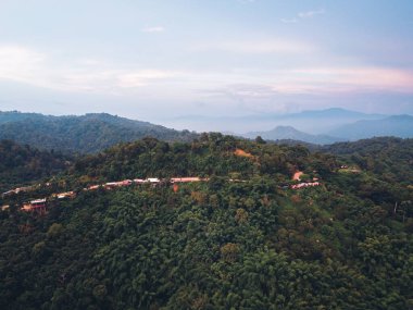 Dağlar ve yeşil ağaçlar Akşam dağları, ağaçlar ve yeşil orman