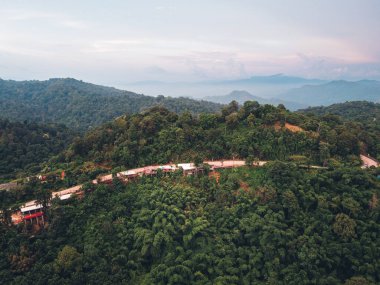 Dağlar ve yeşil ağaçlar Akşam dağları, ağaçlar ve yeşil orman