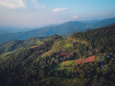 Dağlar ve yeşil ağaçlar Akşam dağları, ağaçlar ve yeşil orman