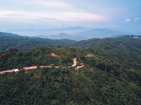 Dağlar ve yeşil ağaçlar Akşam dağları, ağaçlar ve yeşil orman