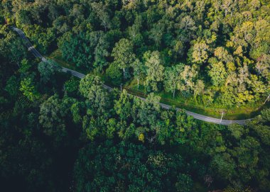 Orman, ağaçlar ve yeşil yollar Akşam kırsalının yukarısından.