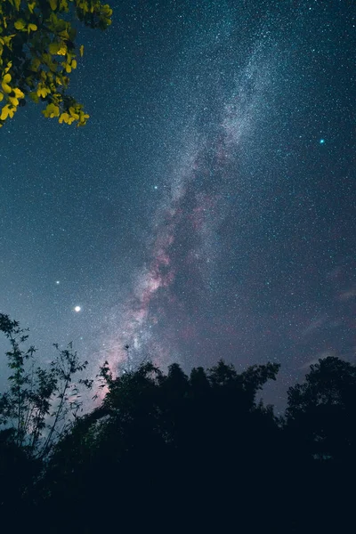 Vía Láctea Estrellas Nocturnas Los Campos — Foto de Stock