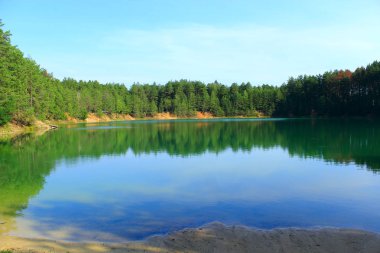 Çam ormanı içinde zümrüt su ile güzel orman Gölü. Doğal görünümü. Su panorama. Vahşi doğa. Mavi su çam ağaçları ile orman gölde. Ahşap lake ile güzel manzara