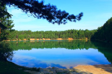 Çam ormanı içinde zümrüt su ile güzel orman Gölü. Doğal görünümü. Su panorama. Vahşi doğa. Mavi su çam ağaçları ile orman gölde. Ahşap lake ile güzel manzara