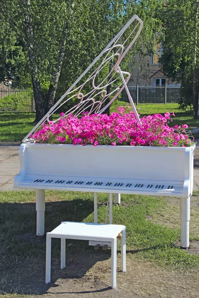 Piano Noter Och Petunia Blommande Inom Blommor Röda Petunior Växer — Stockfoto