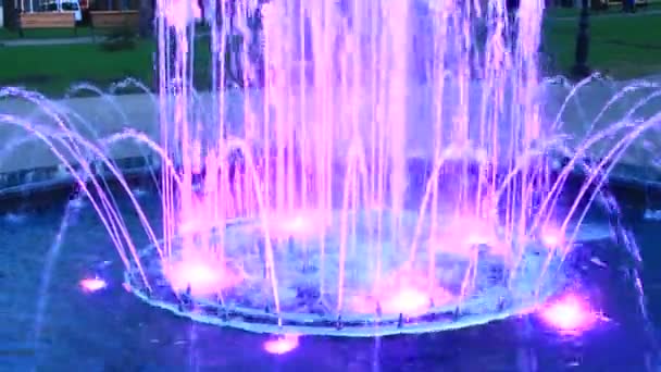 Colored Fountains City Park Colorful Jets Water Lifestyle Concept Colored — Stock Video