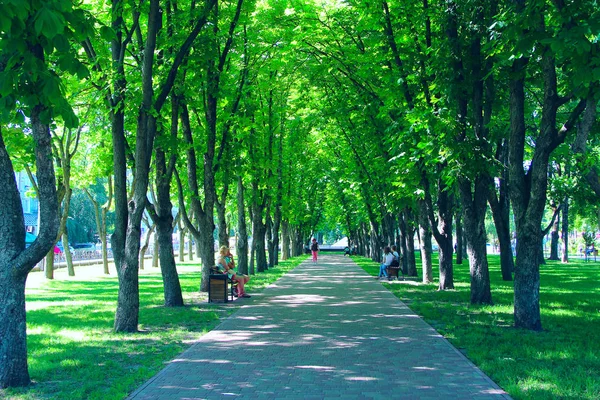 Chernihiv Ucrânia Maio 2018 Pessoas Descansam Parque Cidade Sentadas Bancos — Fotografia de Stock