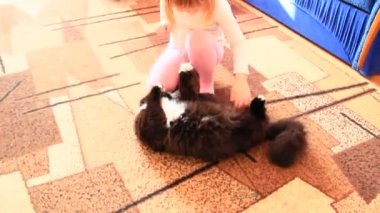 Küçük kız oyun hakkında ve kedi atlama. Çocukça oyunlar. Kız evde kedi ile oynarken. Çocuk eğlence