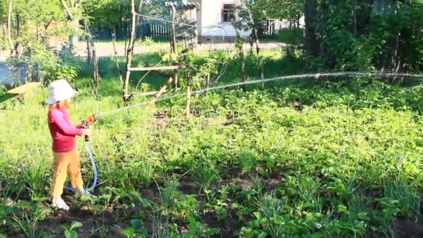 Menina Está Regando Jardim Cama Irrigação Pomar Criança Regar Camas — Vídeo de Stock