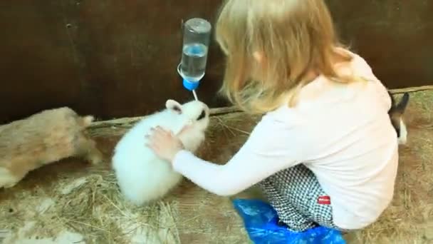 Menina Acariciando Coelho Beber Água Bebedor Zoológico Criança Cuidando Animais — Vídeo de Stock