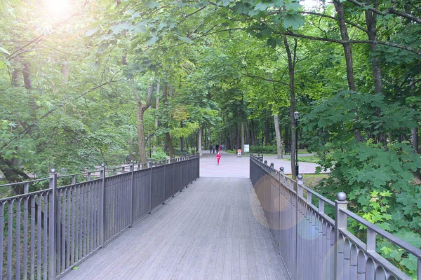Wooden Bridge City Park People Walking Path Green Trees Bridge — Stock Photo, Image