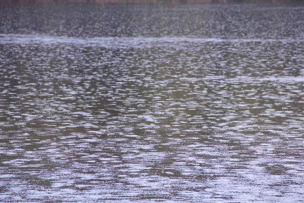 雨在河上 雨水中的水滴落在河的水面上 河表面水滴 — 图库照片