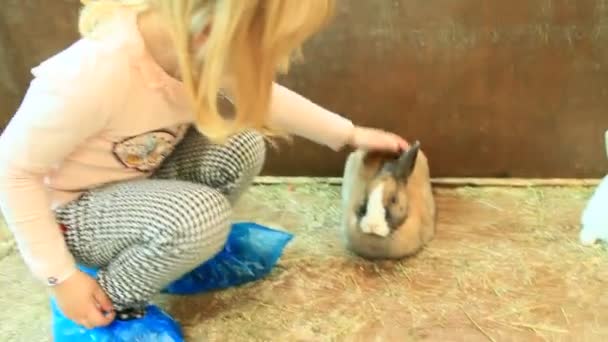 Niña Acariciando Conejo Zoológico Niño Cuidando Mascota — Vídeo de stock