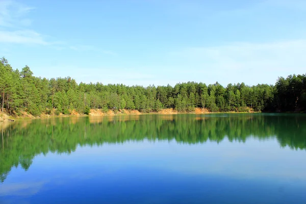 Beau Lac Forestier Avec Eau Bleue Dans Forêt Pins Magnifique — Photo