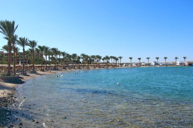 Mısır'daki tropikal resort. Palmiye ağaçları deniz kum plaj. İnsanlar kumsalda dinlenmek. İnsanlar beldesi kızıl denizde tatil keyfini çıkarın. Yeşil lagün ve birçok palmiye ağaçları ile tropikal tatil