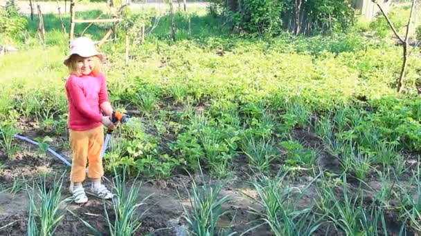 Dziewczynka Podlewanie Ogród Letni Łóżko Nawadniania Sadów — Wideo stockowe