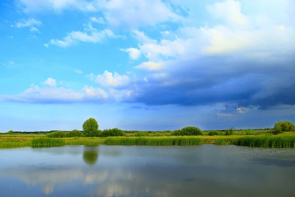 Krajobraz Jeziora Otoczona Trzciny Wielkie Chmury Chrustu Rush Jeziorze Piękny — Zdjęcie stockowe