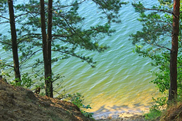 Zobacz Powierzchni Las Jezioro Zielonkawe Wody Piaszczyste Banki Piękny Las — Zdjęcie stockowe