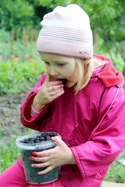 Petit Bébé Mangeant Framboise Noire Seau Enfant Dégustant Des Baies — Photo