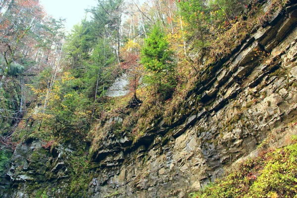 Rock Lagen Bergen Lagen Van Steenachtige Rotsen Geologie Karpaten Bos — Stockfoto