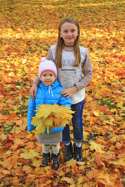 Young Sisters Stand Together Yellow Leaves Little Kids Playing Autumn — Stock Photo, Image