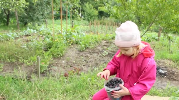 Little Baby Eating Black Raspberry Bucket Child Enjoying Berries Black — Stock Video