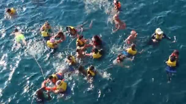 Hurghada Egypt July 2018 Team Divers Masks Life Jackets Water — Stock Video