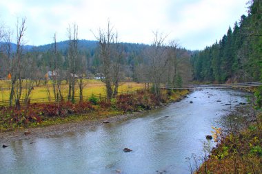 Köy ve yeşil orman arasında akan nehir dağ. Güzel doğal peyzaj. Panorama orman Nehri ile. Ukraynalı köyü yakınlarında akan dağlık nehir. Sonbahar manzara
