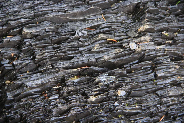 Rock Layers Mountains Layers Stony Rocks Geology Carpathian Mountains Basalt — Stock Photo, Image