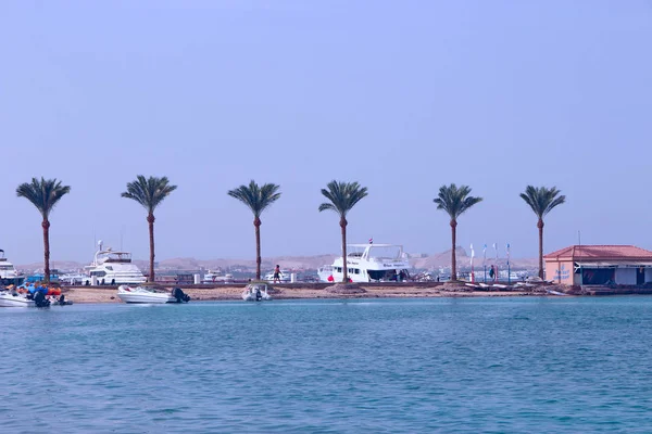 赫尔格达 2018年7月28日 海岸上的热带棕榈树和游艇站在岸边 热带度假胜地 棕榈树和海滨长廊船 度假概念 — 图库照片