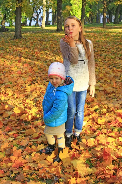 年轻漂亮的姐妹在秋季公园玩黄色叶子 孩子摆在前面的相机 秋天森林里的小女孩 秋天的心情 秋天散步 快乐童年 — 图库照片