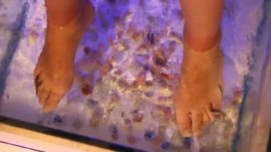 Genç kadın Masaj küçük balıklar ile alma. Balık ile soyulması. Tıbbi prosedür zevk kız. Ayak masajı balık akvaryum closeup ile. Balık spa yordamı