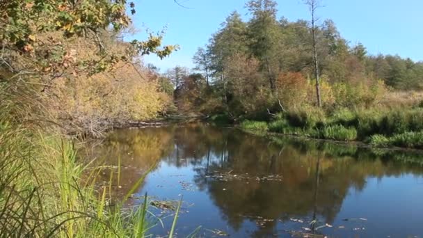 Herfst Landschap Droge Bladeren Vallen Water Van Rivier Gele Bladeren — Stockvideo