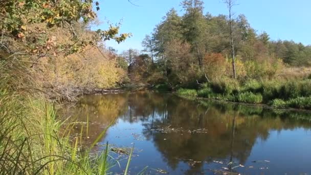 Podzimní krajina. Suché listí na podzim na vodní hladině řeky. Žluté listy na jezeře. Vodní krajina na podzim. Podzimní žluté listí na vodě