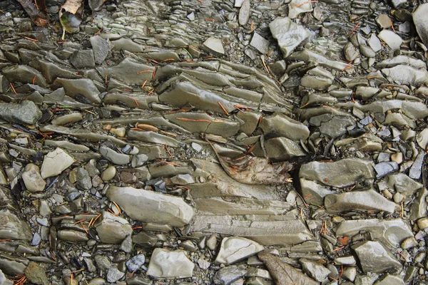 Rock Lagen Bergen Lagen Van Steenachtige Rotsen Geologie Karpaten Basalt — Stockfoto