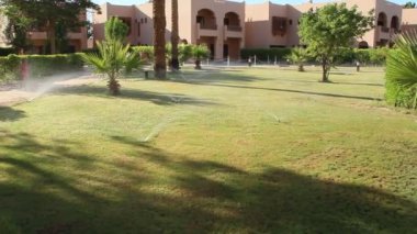 Mısır 'da bir tatil köyünde palmiye ağaçları arasında çimenlik alan. Bakımlı arazisi olan bir otel.