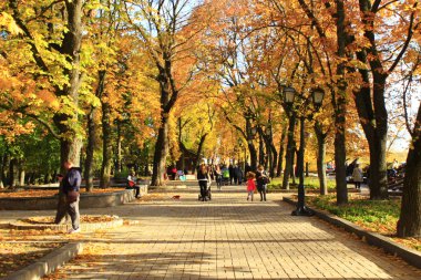 Chernihiv Ukrayna. 16 Ekim 2017: Central city park banklar ile sokak üzerinde sonbaharda yürüyen insanlarla. Ağaçlar üzerinde sarı yapraklar ile sonbahar. İnsanlar sonbahar Şehir Parkı üzerinde yürümek. İnsanların dinlenme parkı