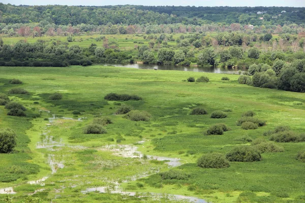 Panoramatické Krajiny Krásná Krajina Řeky Bažiny Ptačí Perspektivy Přírodní Krajina — Stock fotografie