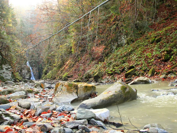 Водоспад Водою Падаючи Обриву Manyavskii Водоспад Карпатах Води Падіння Обриву — стокове фото