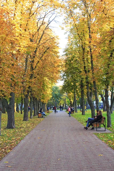 Chernihiv Ucraina Ottobre 2017 Parco Cittadino Con Persone Che Camminano — Foto Stock