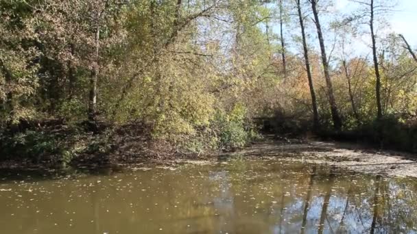 Herfst Landschap Droge Bladeren Vallen Water Van Rivier Gele Bladeren — Stockvideo