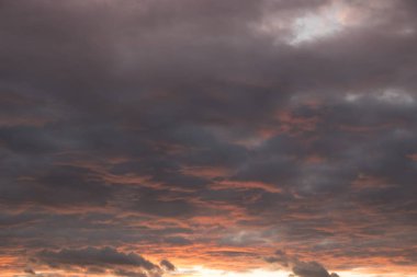 Akşam günbatımı güzel pembe pitoresk bulutlu. karanlık günbatımı güneş ışınlarını kırmızı bulutlar ile. Scarlet düşüş orman yukarıda. Alacakaranlık renkleri