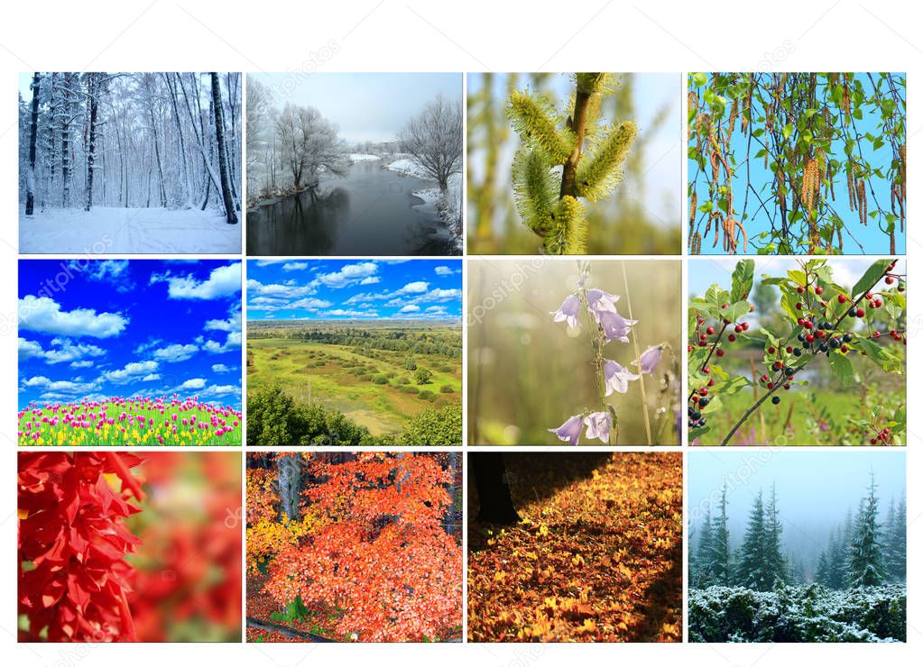 Blank with different twelve colored images of nature for calendar. Ready photo for calendar. Pictures for yearly calendar. Placard for office